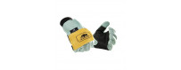 La protection forestier 