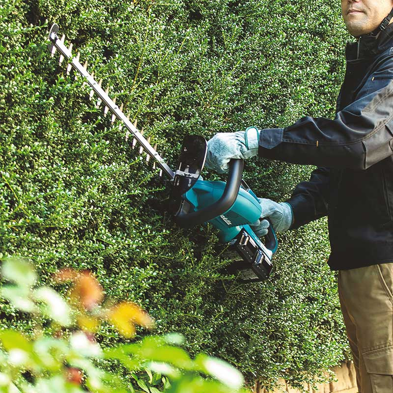 Taillehaie 36V (2x18V) 55cm Puissant et Maniable MAKITA — free download