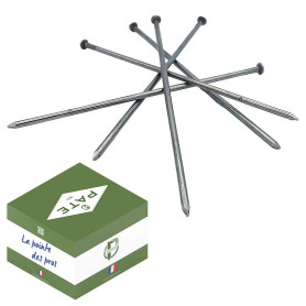 Pointe lisse avec tête plate en vrac - 5kg