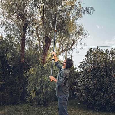 Coupe-branches télescopique multifonctions UPX86 - MEA 4