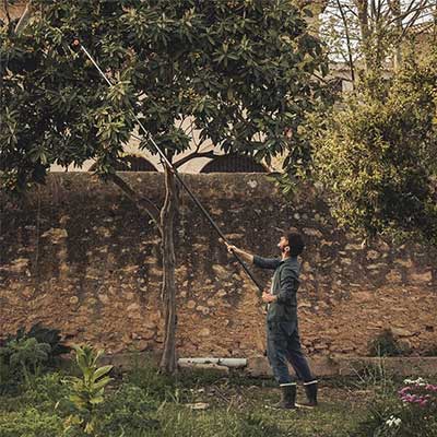 Coupe-branches télescopique multifonctions UPX86 - MEA 2