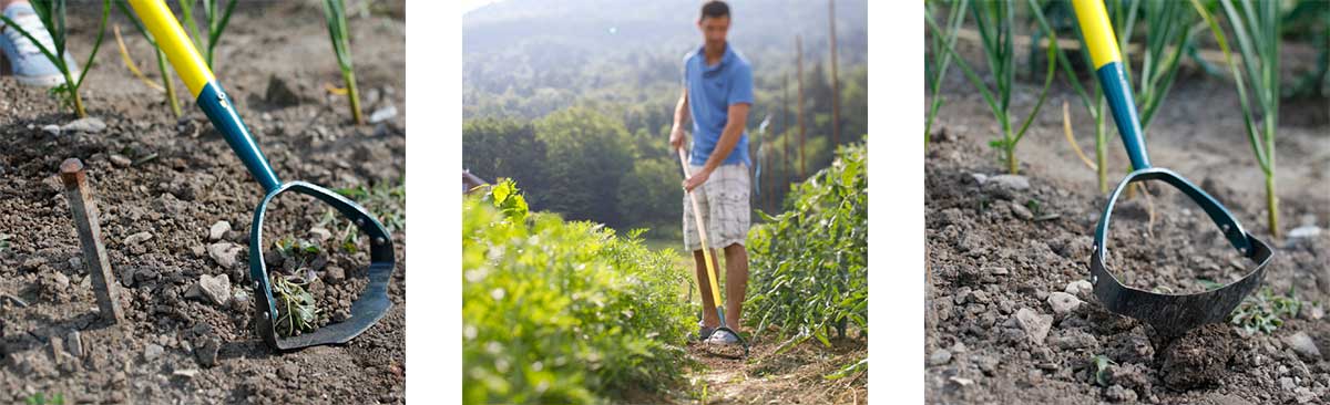 Grattoir NaturOvert pour plantes coriaces - MEA