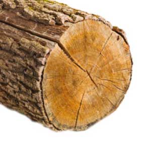 Scie égoïne gros débit 500 mm - Bois 4