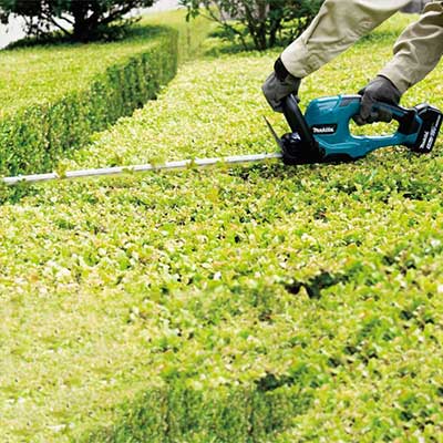 Taille-haie LXT DUH602Z sans batterie - MEA 2